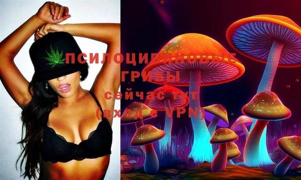 кокаин VHQ Каменка