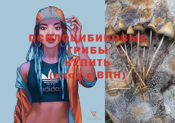 мяу мяу мука Каменск-Шахтинский