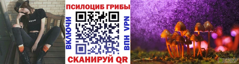 Купить закладки  Каргат  Псилоцибиновые грибы Magic Shrooms 