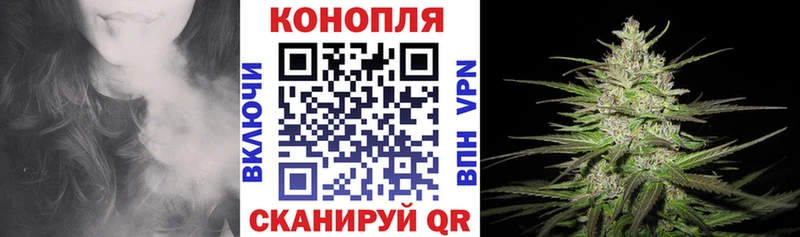 Купить где  Каргат  Марихуана индика 